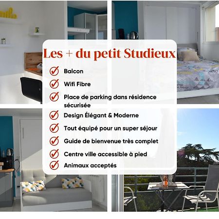 Le Petit Studieux - Parking - Animaux Acceptes - Centre Ville Accessible A Pied Albi Dış mekan fotoğraf