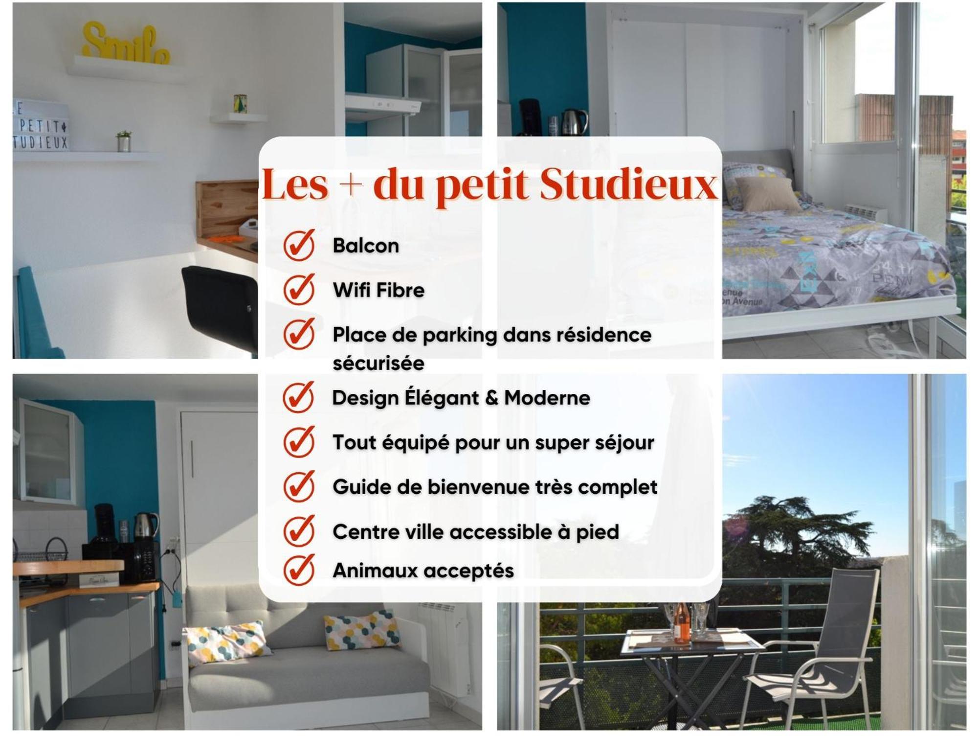 Le Petit Studieux - Parking - Animaux Acceptes - Centre Ville Accessible A Pied Albi Dış mekan fotoğraf