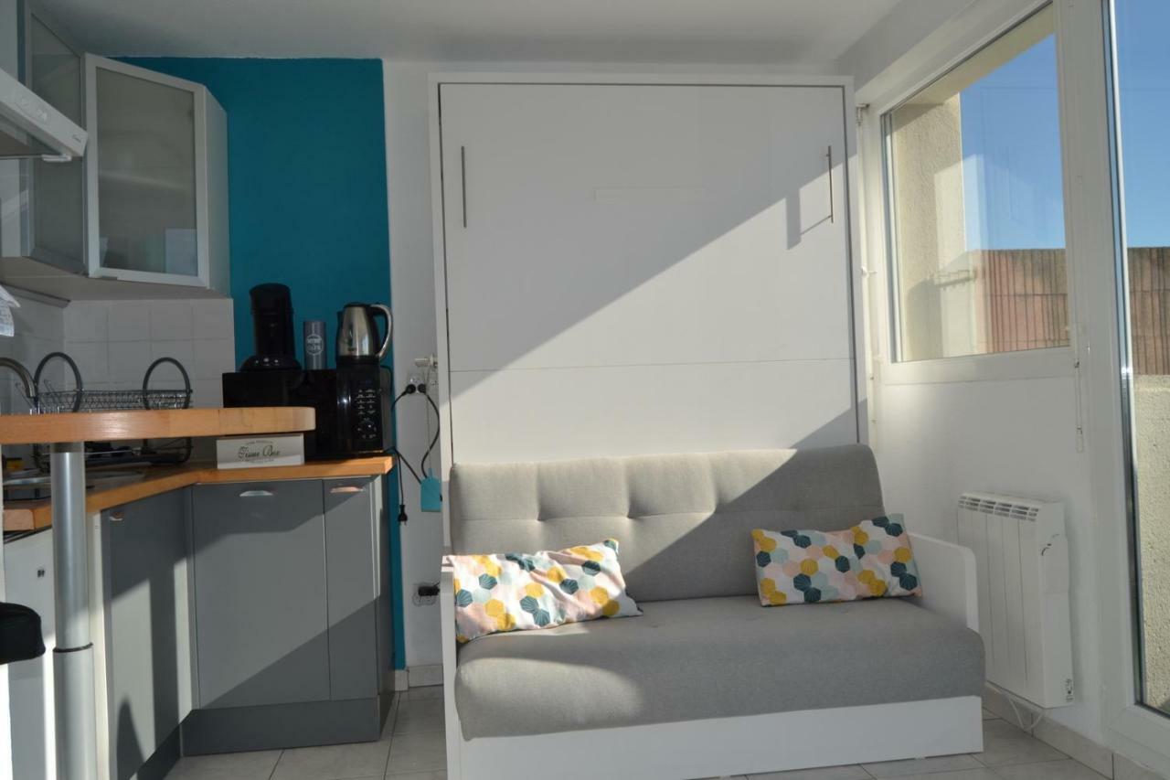 Le Petit Studieux - Parking - Animaux Acceptes - Centre Ville Accessible A Pied Albi Dış mekan fotoğraf